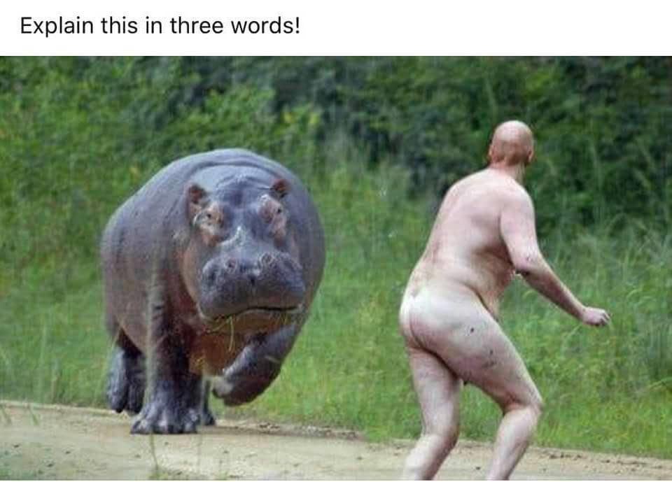 MD DONNA tweet media