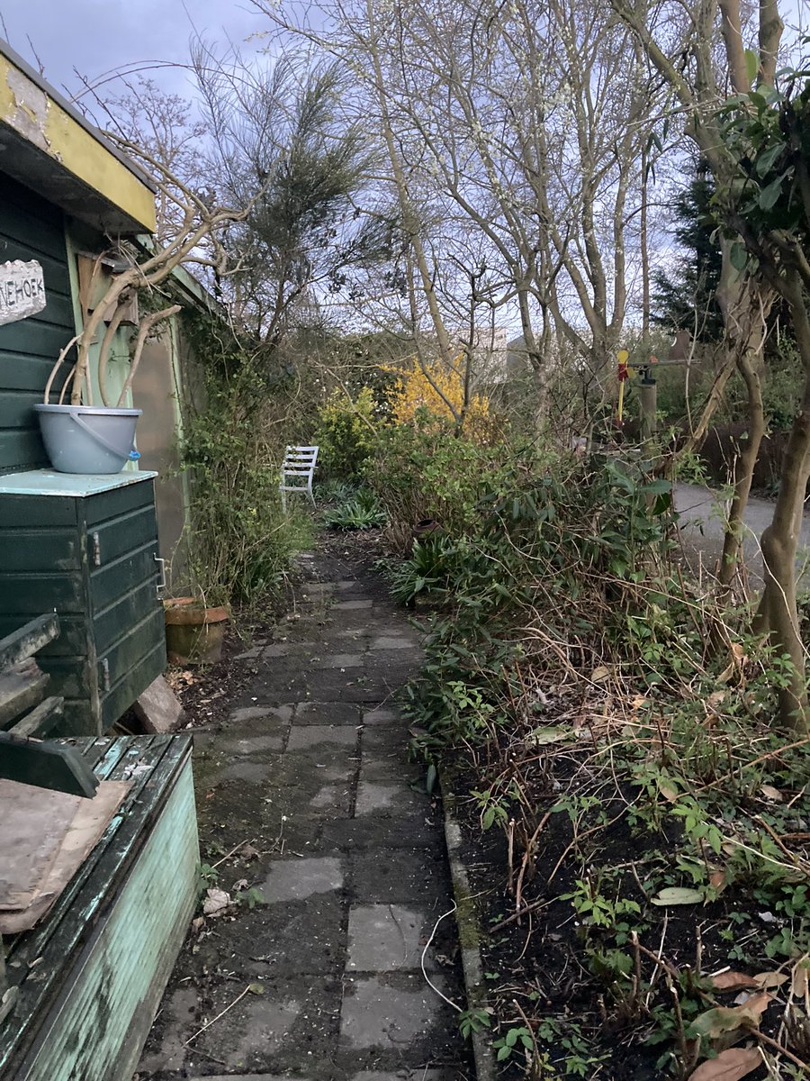 rinibiemans's tweet photo. Het allerbelangrijkste bij het nieuwe tuinieren (met de natuur mee) is dat je de inheemse natuur (onkruid) mooi gaat vinden en leert kennen. Op deze manier creëer je een prachtige tuin, die ieder seizoen verandert inclusief de dynamiek van het ecosysteem (insecten, bodemleven, .) https://t.co/kjJntcUAY2