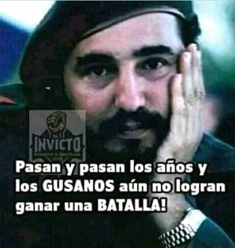 CarlosLuisNara4's tweet photo. Los agricultores #MatancerosEnVictoria  no le fallaremos al Partido ni a la Revolución todo por #Cuba #VamosConTodo https://t.co/7v6JWiVuwv