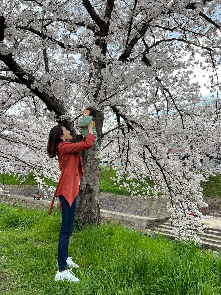 高橋麻美のプロフィール 画像 写真