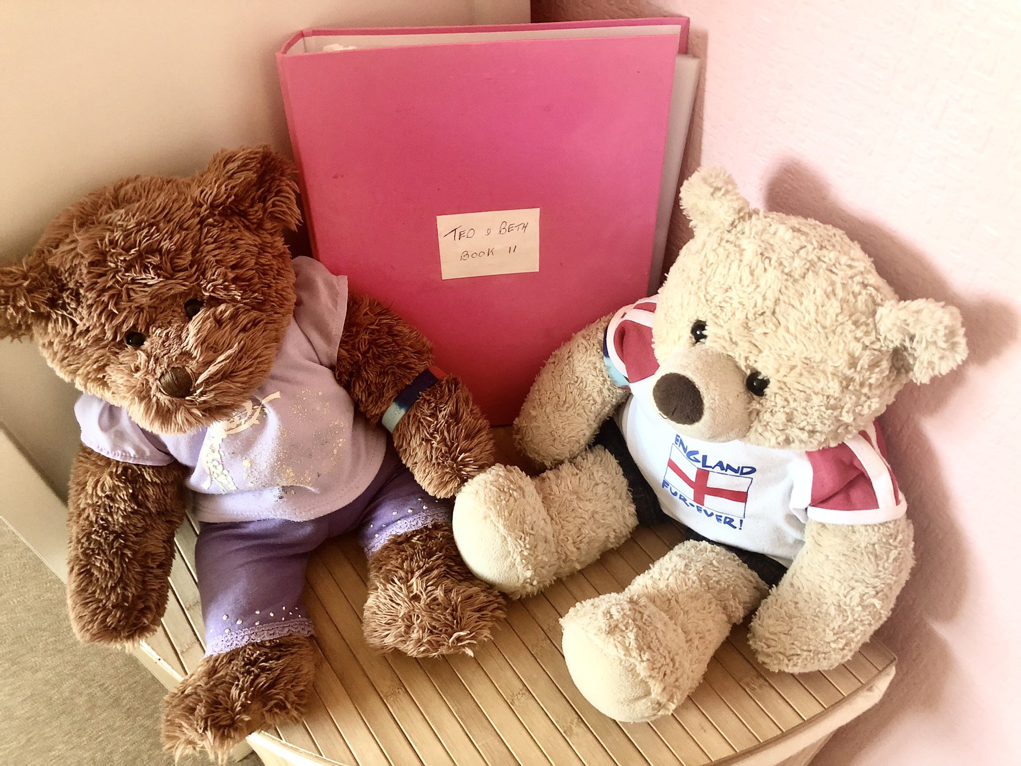 Laurie Wilkinson We Are Stunningly Ecstatic And Teddy Bear Happy Our Human Dad Is Doing His Book 11 On Us To Feature Ted Amp Beth With Friends All Agreed With