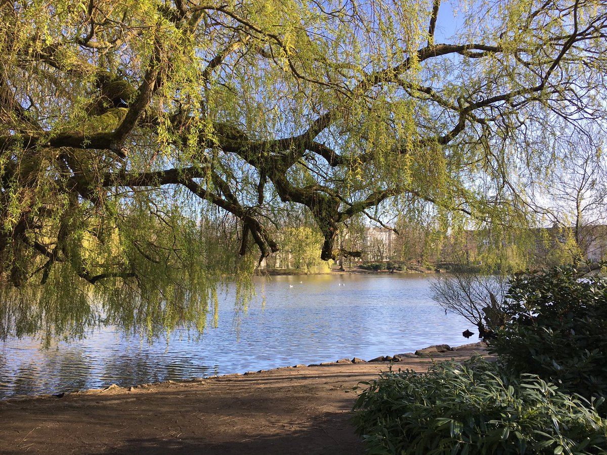 ffluesterer's tweet image. Da kann Kiel locker noch einen draufsetzen. Wo #GruenerMist ein richtig gutes Leben ist. #kiel #noafd