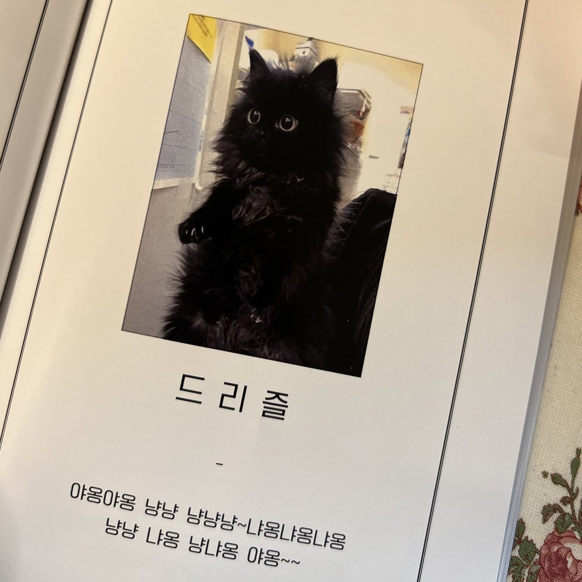 drizzle_43's tweet photo. #성화선배생일축하해요 
#DEAR_MYFIRSTLOVE_S https://t.co/5WUyd38jgk