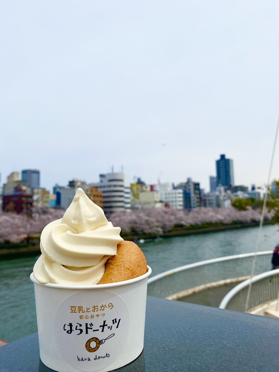 haradonuts's tweet photo. 毎月3の付く日はソフトクリームが
お買い得🍦🍦
普段の半額のお値段でお得に美味しい豆乳たっぷりのソフトクリームいかがですか？😋💕

🍦豆乳ソフトクリーム

      ¥300→¥150 ✨

🍦ドーナッツ豆乳ソフト

      ¥380→ ¥190 ✨

対象店舗↓↓↓

🍩 天神橋店、天三店、熊本店、広島店 https://t.co/OYD6IFg2E7