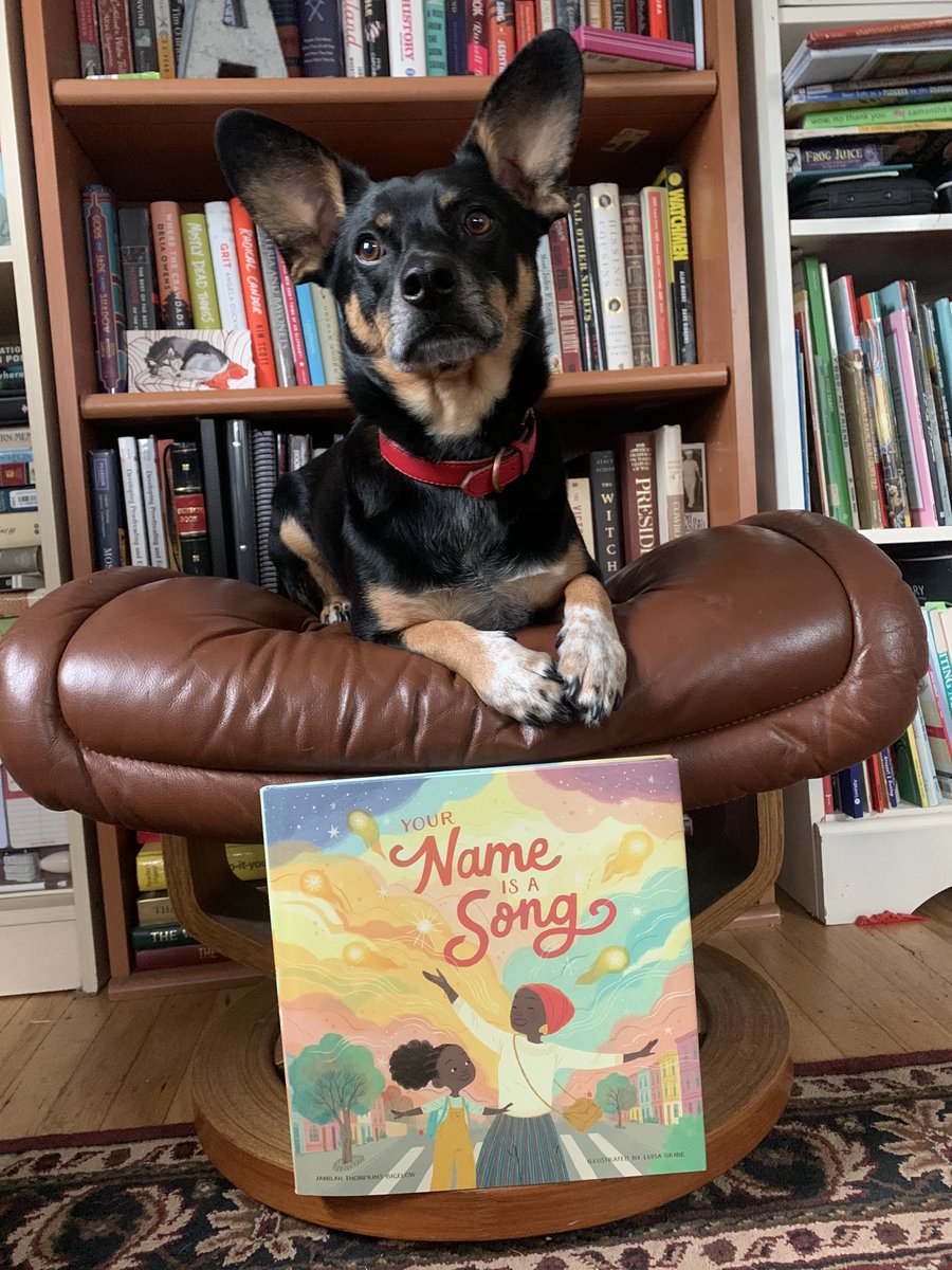 r_dougherty's tweet photo. @jtbigelow I’m so sorry you’re going through this, Jamilah. Though doesn’t help matters all that much, I want you to know that Your Name is a Song is one of the most beautiful PBs I’ve seen. I’m going to keep bringing it to every baby shower I’m invited to. 🧡 https://t.co/f4CPGdPl5b