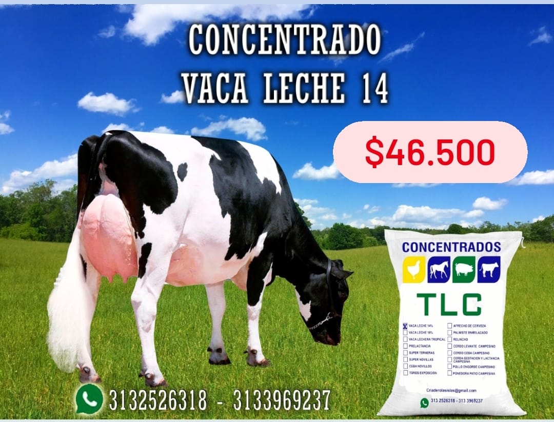 criaderoislas's tweet photo. @DarinelRegino @Fedegan @TvGanColombia @jflafaurie @FUNDAGAN @MariaFdaCabal @jzapataobregon @ContGanadero Baje costos  https://t.co/ehuc7bmiJj punto de fabrica Concentrados peletizados para todas las especies https://t.co/vQ1JNvVuxj
