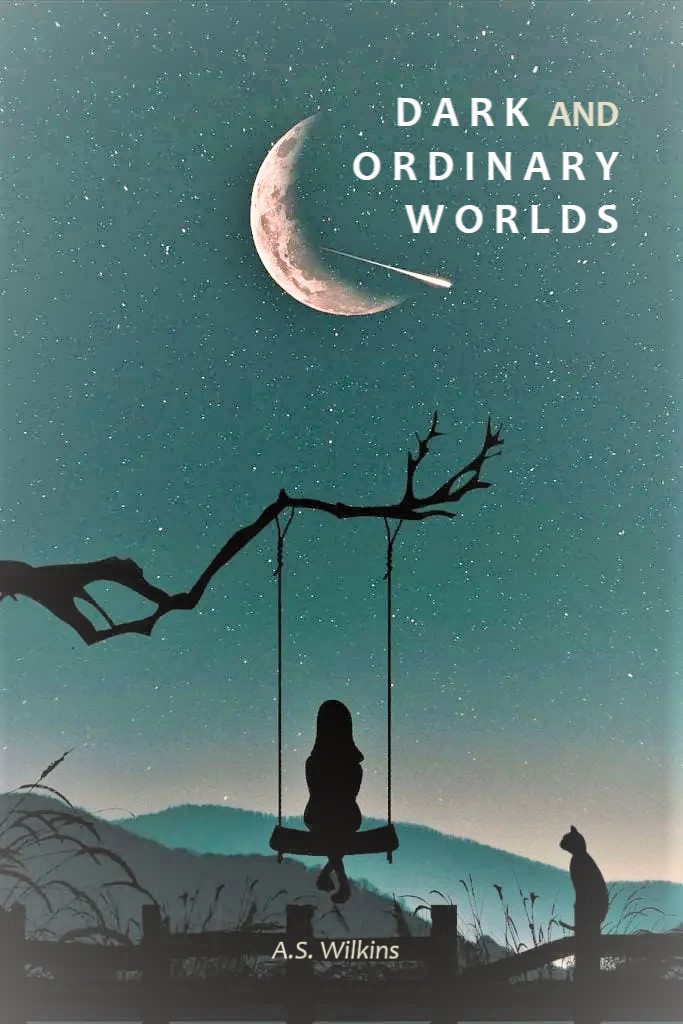 Where do we go when we die?

Finn stumbles on an epic adventure through life and death in search of his missing love in the Dark and Ordinary Worlds series  #amwriting