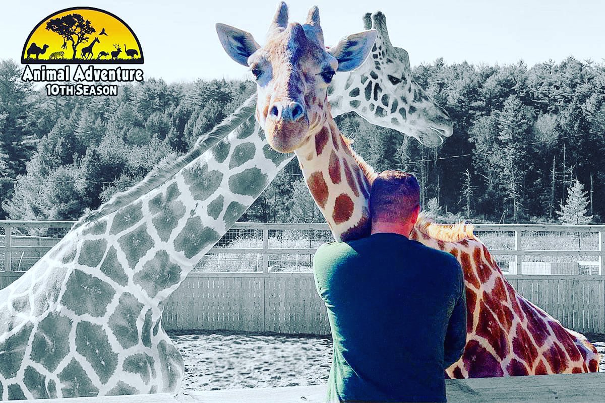 Animal Adventure Park tweet media