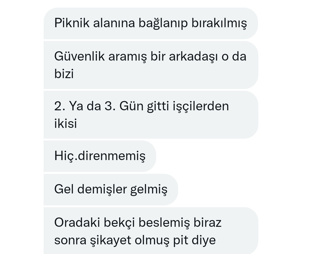 M E L O & Kedy Kardeşleri tweet media