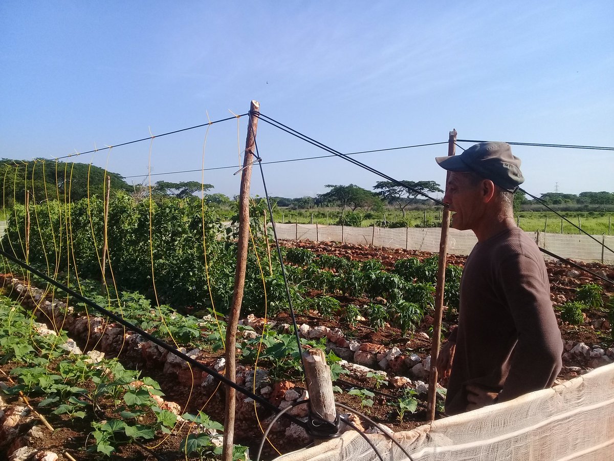 FundoraRebeca's tweet photo. Cada día más fuerte más seguros y convencidos de que nuestra Revolución saldrá adelante porque somos un país de hombres y mujeres de #PatriaOMuerte   #MatancerosEnVictoria  #AgropecuariosMatanceros  #VamosConTodo @DiazCanelB @DrRobertoMOjeda @SuselyMorfaG @CarlosLuisNara4 https://t.co/13sZN5M5mU