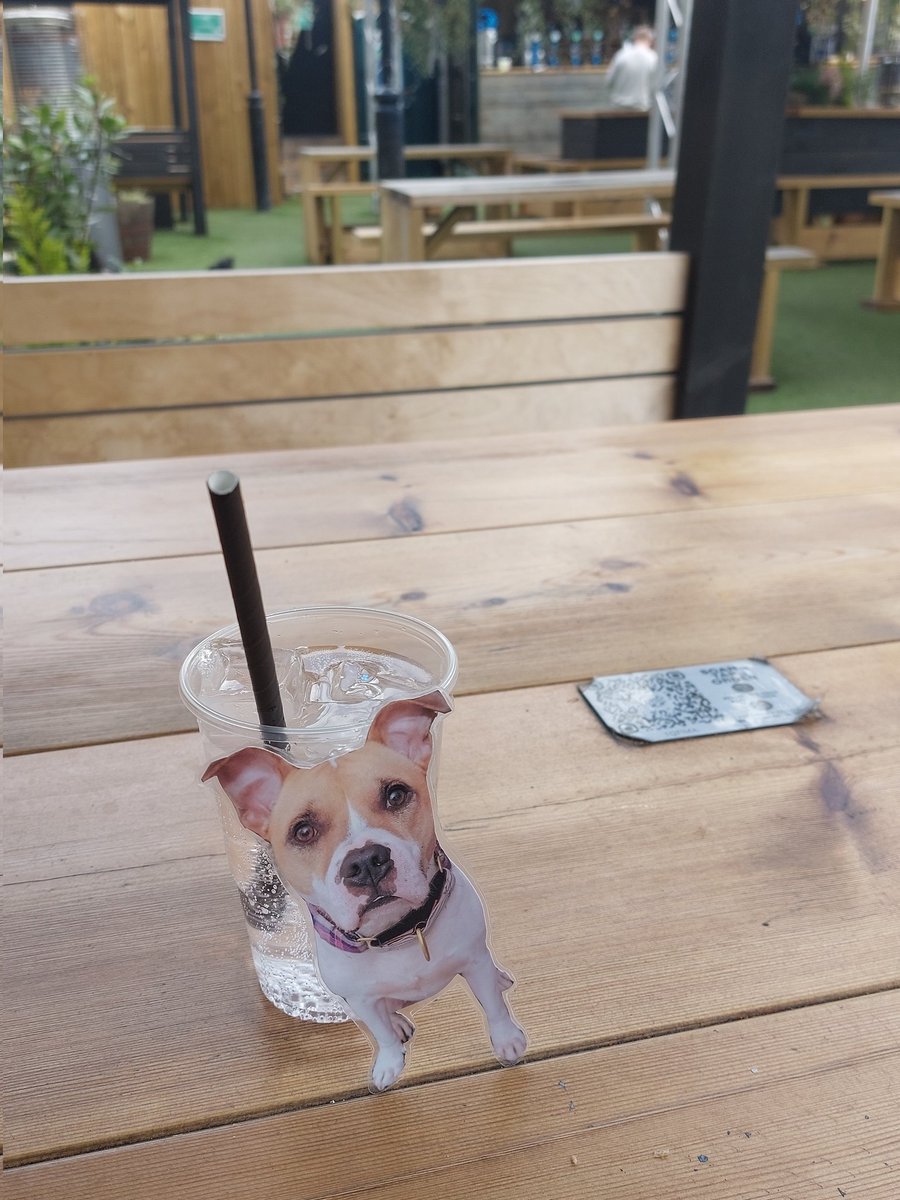 soojam's tweet photo. @TuckerDude1 well folks Flat Tucker is having a weekend in Newcastle! So a beer garden is called for don't ya think?! 😊😎 #FlatTuckerSeesHisFriends #Newcastle #weekendwinning https://t.co/W00zSRfo6M