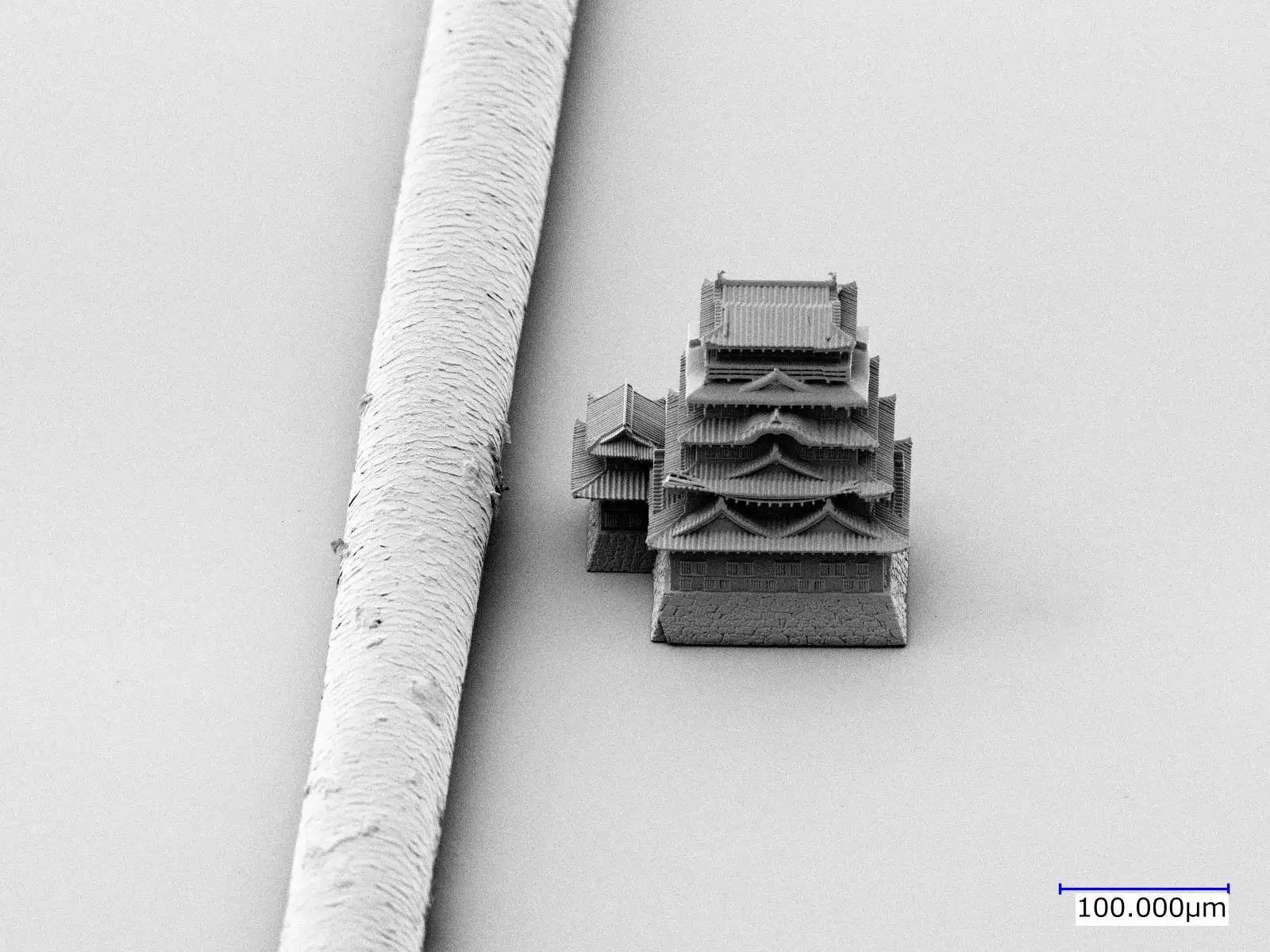 【衝撃】世界最小の髪の毛と同等サイズのお城を築城しました