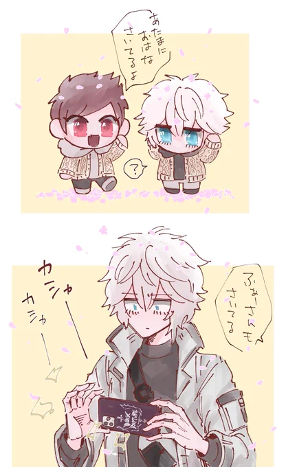 幼体🌸 