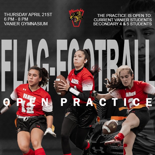 The time is now...we're starting to build our 2022-2023 team. If you're interested in learning the sport whether you've played before or not this is the opportunity for you. Feel free to share this post! #GirlsInSport #vc #cheetahs #flagfootball #trusttheprocess #family #building