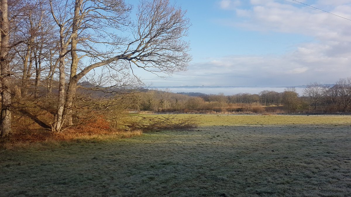 StuartH05525610's tweet photo. @Scottjgraham75 @JarrowLassesU14 It lovely all over https://t.co/7Bwe6Z8JUS