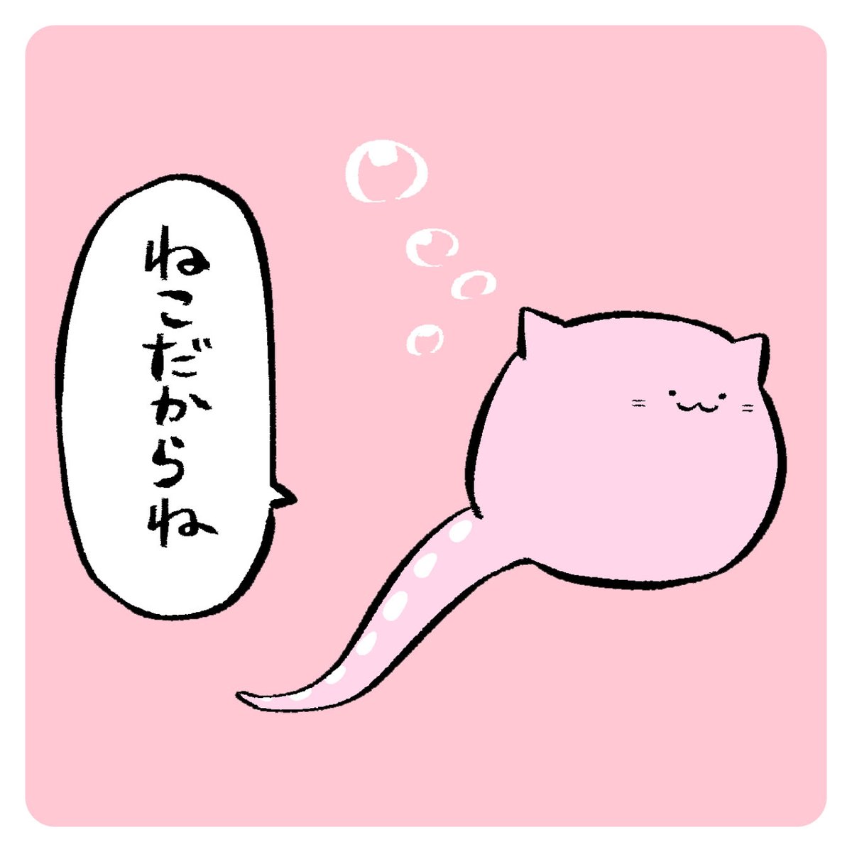 ねこだから泳げる 