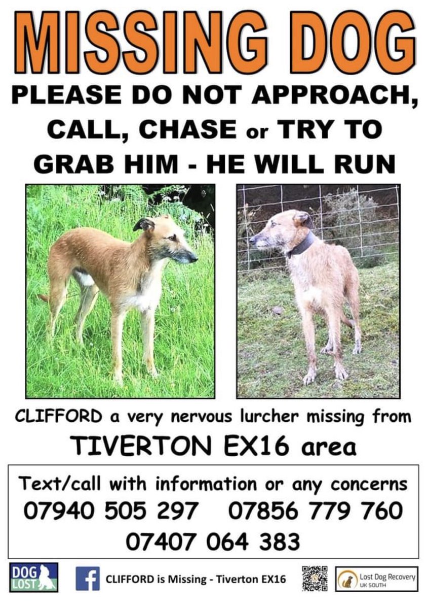 Please keep an eye out for #Clifford who was last night seen between #CombeMartin #Berrynarbor and #Ilfracombe