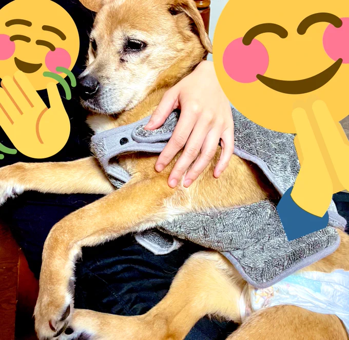ピ✌️ 