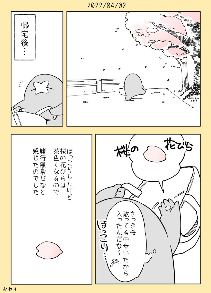 🌸
満開からの下り坂の桜も趣があるな～とかんじる日本人 