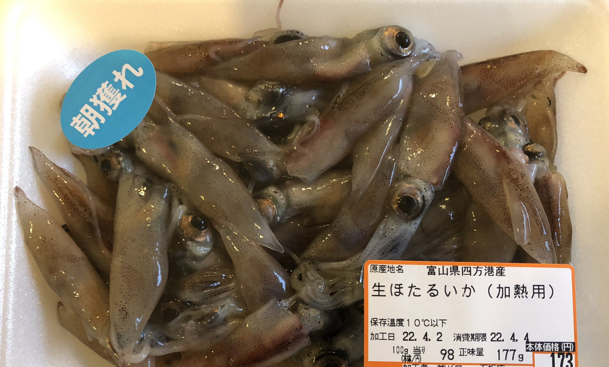 ほたるいか Twitter Search Twitter