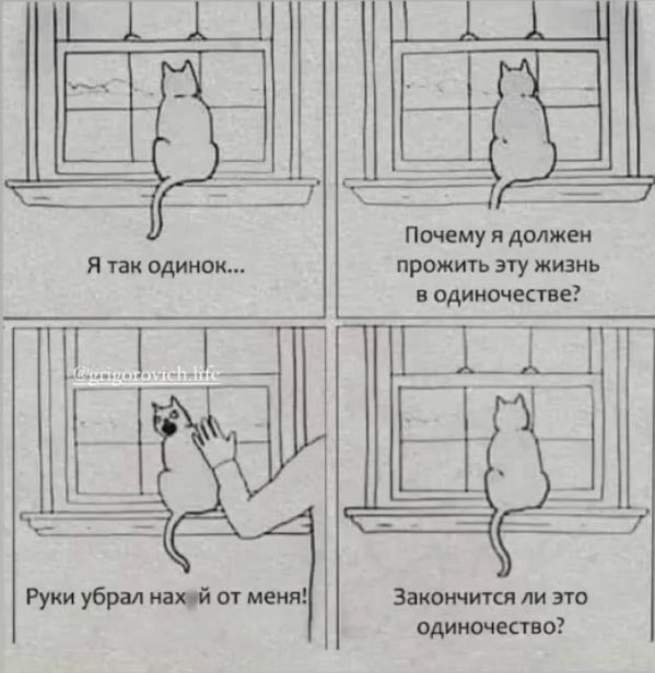 Все мы немножко кот