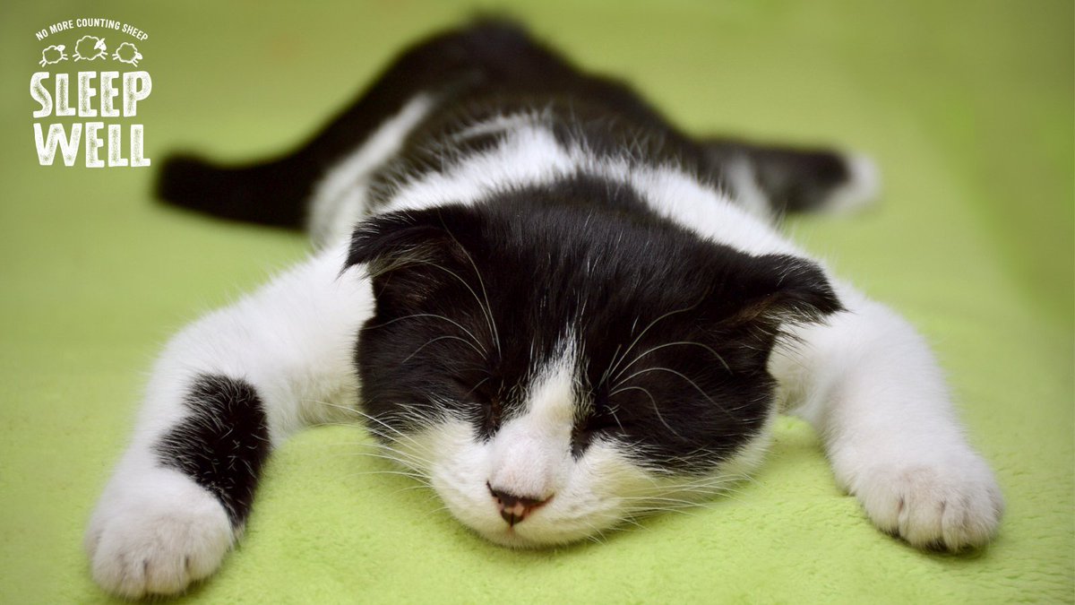 Sleep Well Drinks tweet media