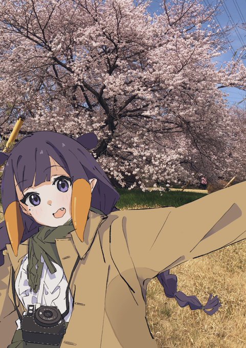 桜が綺麗な季節になってきましたね 