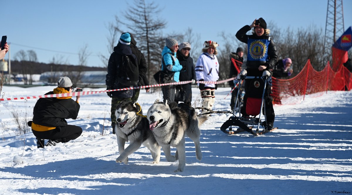 Магадан. 2022-03-23. Этнофестиваль "Дзялбу" и 2022-04-02. Соревнования ездовых собак.