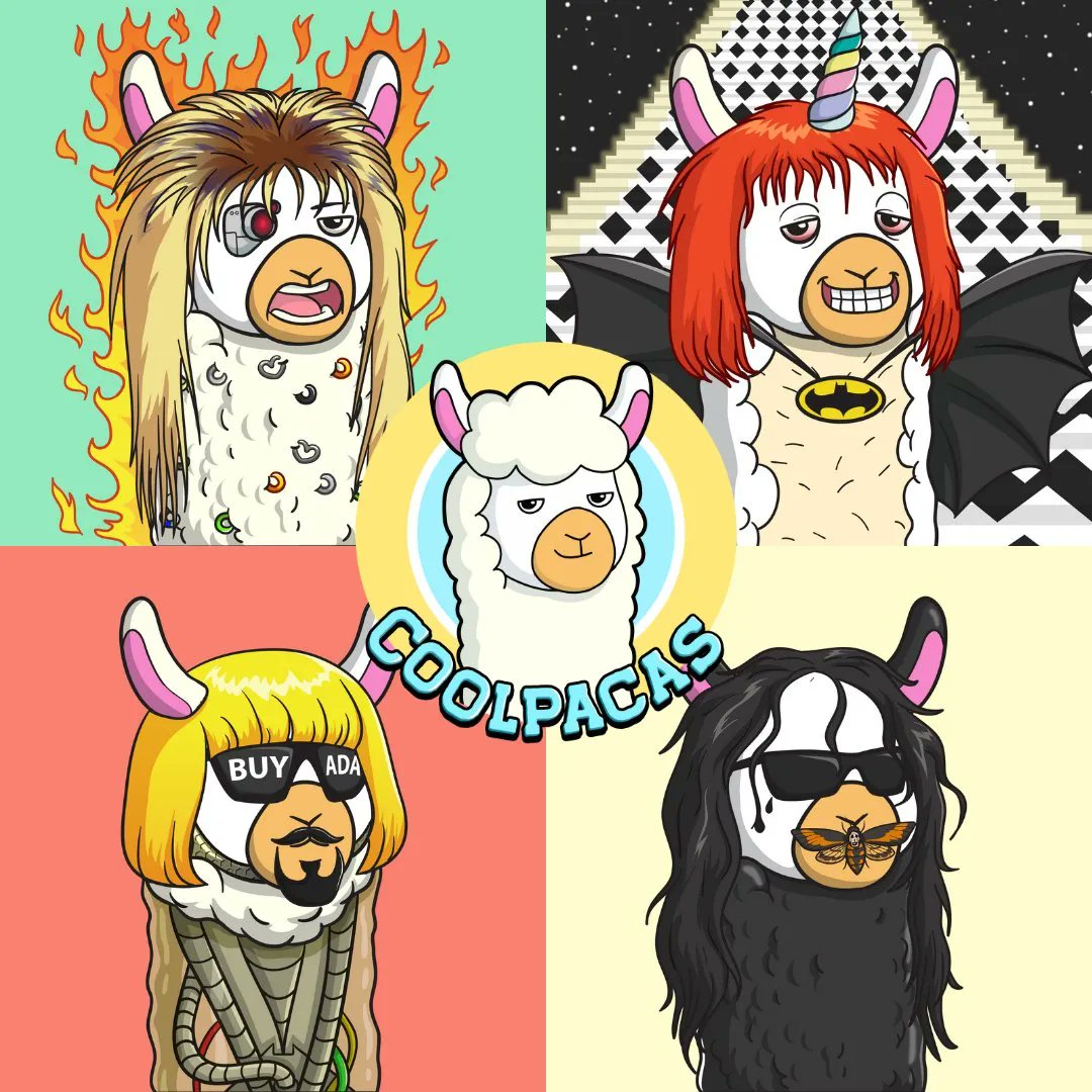 🔊 Dropping today🔊 <a href="/CoolpacasNFT/">Coolpacas CNFT 📢 MINT NOW</a> check out the drop details here >>> buff.ly/3NKgfyo

#cnft #cnfts #nft #nfts