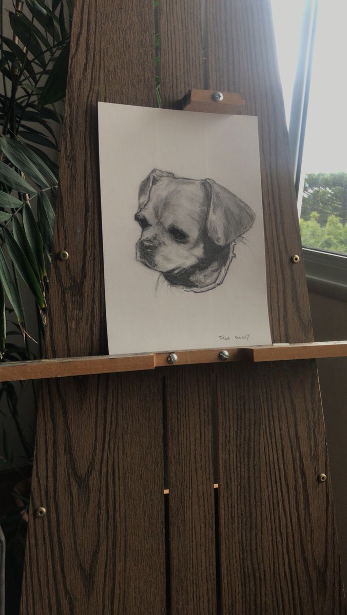 fgarart's tweet photo. Doggo drawing
Graphite on paper.
#drawing #fineart #graphite #petdrawing https://t.co/XAItIRnK9I
