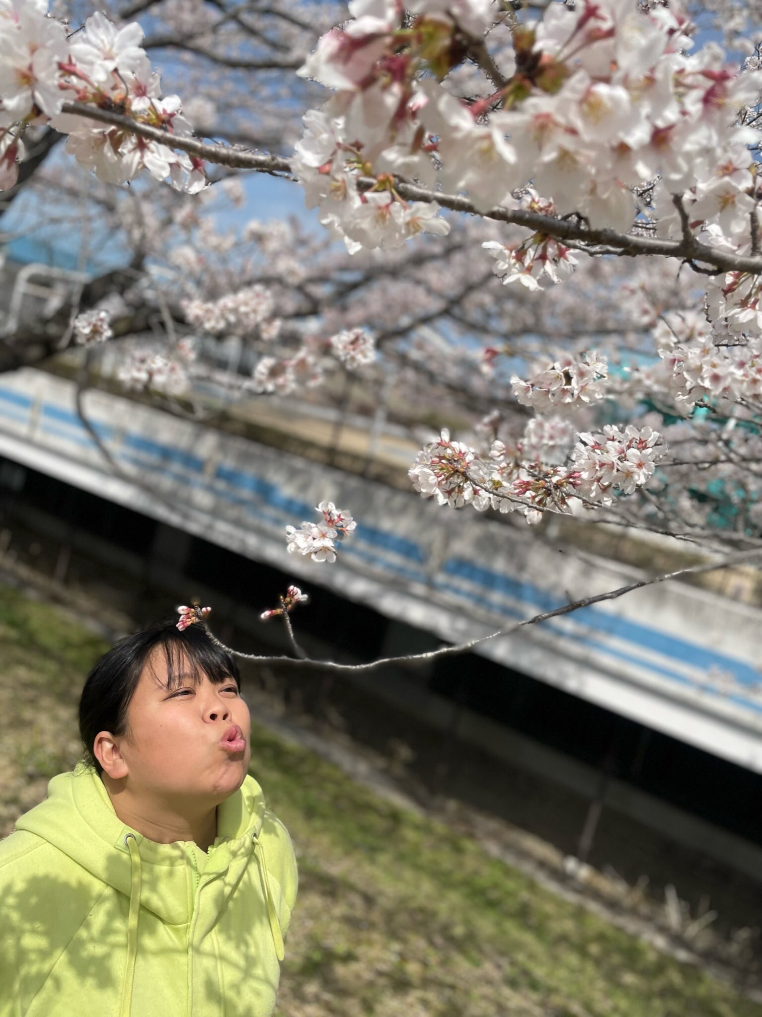 تويتر まいあんつ على تويتر 咲いてほしい というみんなの期待に応えて しっかりと花を咲かす 桜のような人間になるのが目標です 明日はお誕生日 さよなら32さい こんにちは33さい 桜の花びら散るたびに うーうーうー T Co Cokpjpgiwc تويتر まいあんつ على تويتر 咲いてほしい というみんなの期待に応えて しっかりと花を咲かす 桜のような人間になるのが目標です 明日はお誕生日 さよなら32さい こんにちは33さい 桜の花びら散るたびに うーうーうー T Co Cokpjpgiwc