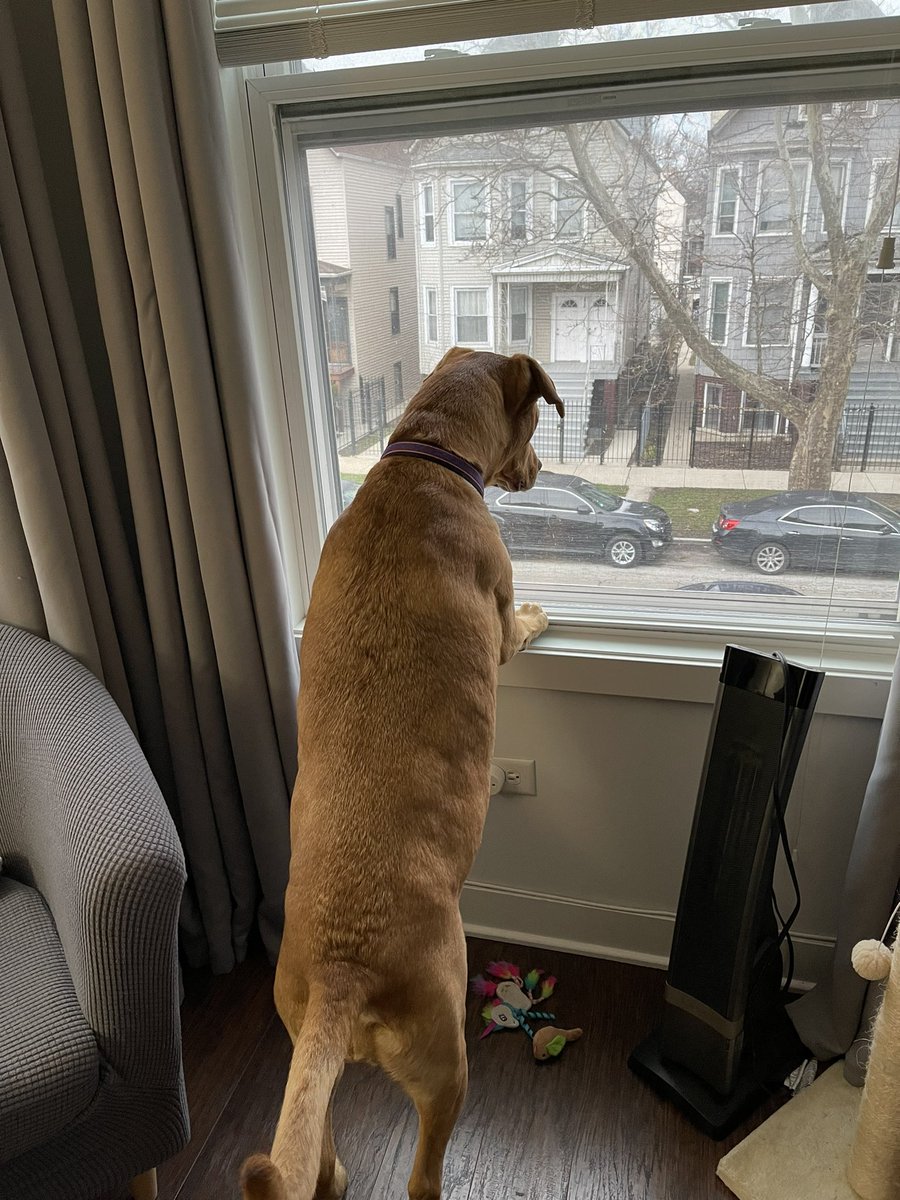 FourthRoomKelly's tweet image. Watching @FourthRoomTV head out on his 20 mile run 😍 get over to the twitch and show him some love!