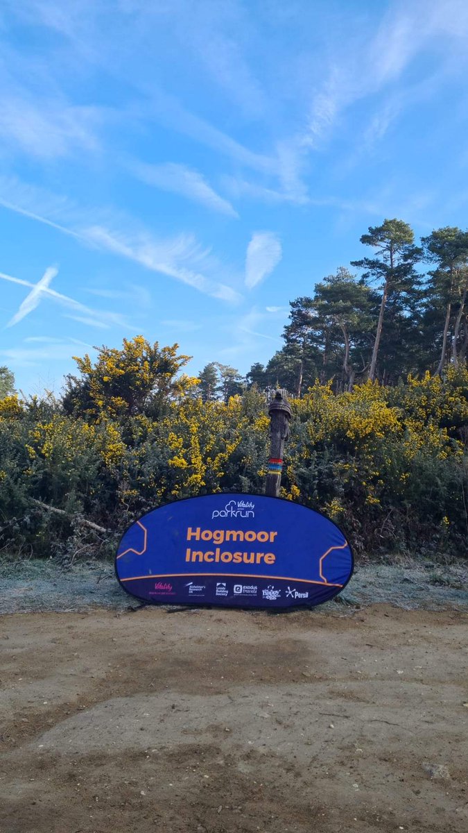 Beautiful morning in the Inclosure this morning! #parkrun #hogmoorinclosure