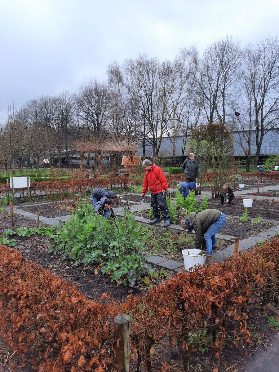De leerlingen van de <a href="/GooiseDalton/">DeGooiseDaltonschool</a> zijn gestart in de schooltuin. Zaaien, wieden en over een tijdje ook oogsten. #educatie #belevendleren #voedsel #hilversum #hilversumsemeent