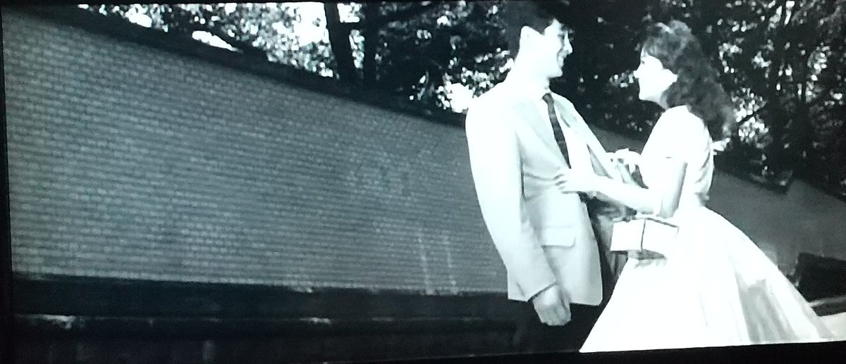 川地民夫 最新情報まとめ みんなの評判 評価が見れる ナウティスモーション