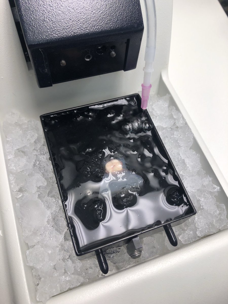 Alles Lab tweet media