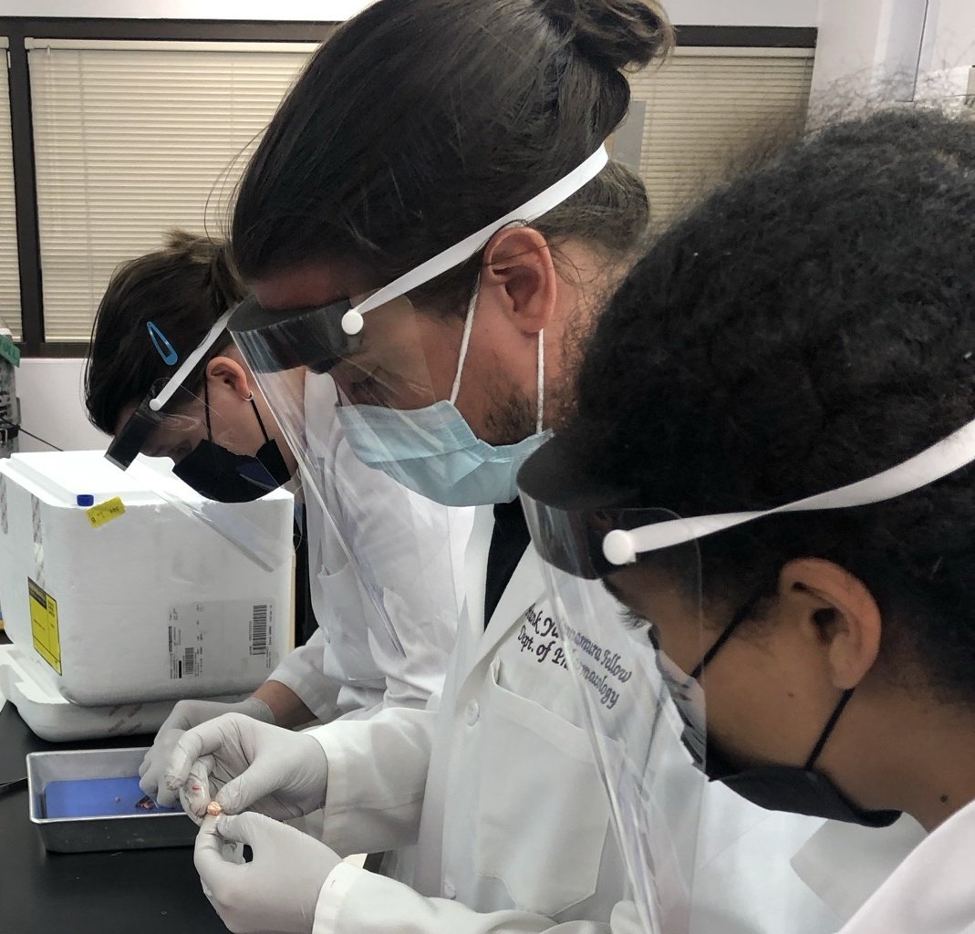 Alles Lab tweet media