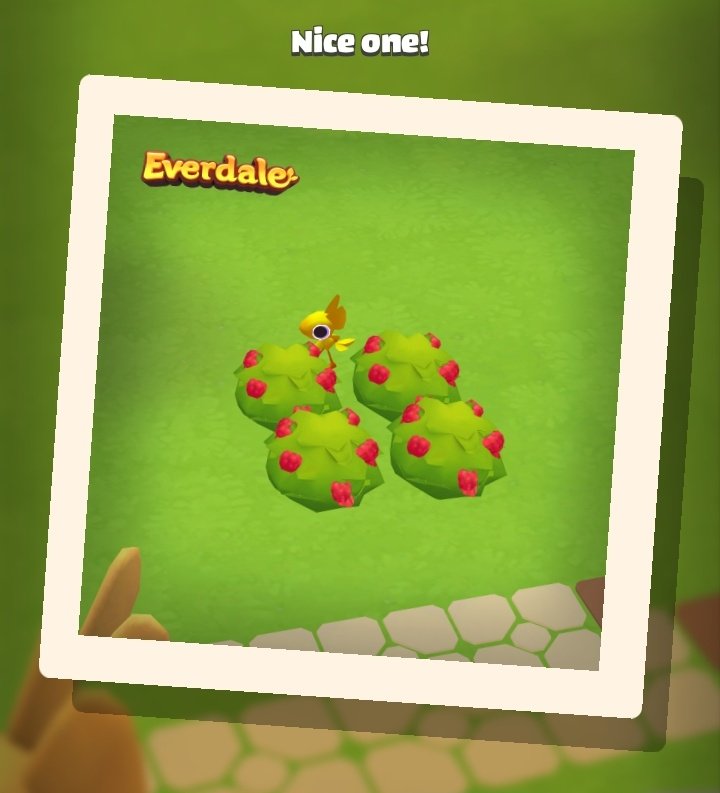 everdaleph's tweet photo. #Everdale https://t.co/CVU2AqtUpV
