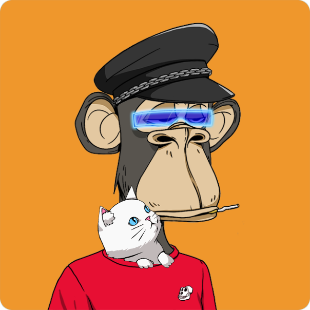 Kiwami_eth's tweet image. Nekotan #BAYC