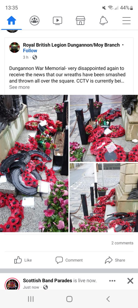 impongo22's tweet image. EQUALITY
RESPECT
INTEGRITY