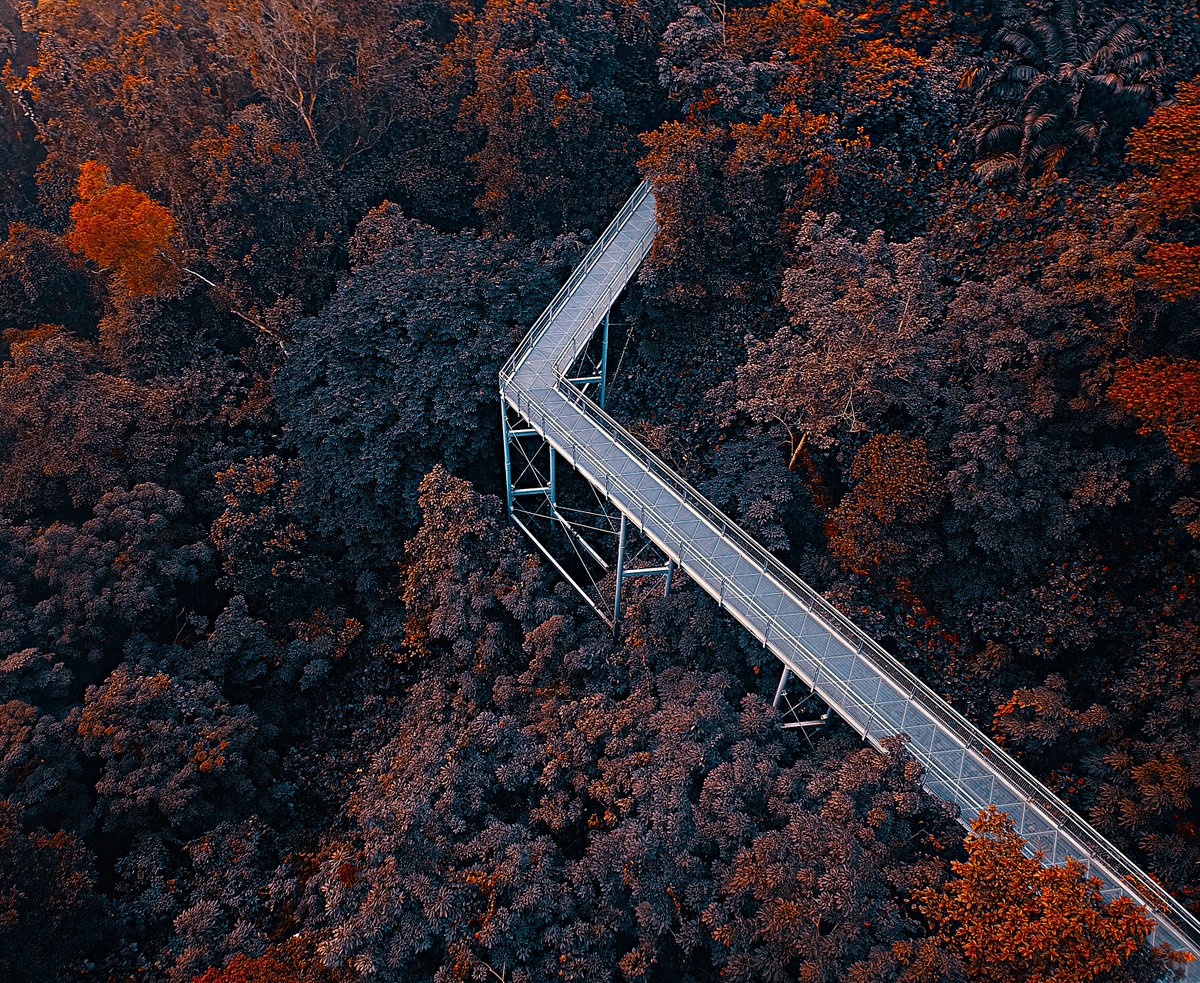 👋New Drop: Nowhere 

“That’s the place to get to—nowhere. One wants to wander away from the world’s somewheres, into our own nowhere.” ― D.H. Lawrence

5 ed./ 2  #XTZ 

teia.art/objkt/710559
hic.af/o/710559

#tezosart #tezosnft #nftphotography #nftcollector #nftphoto