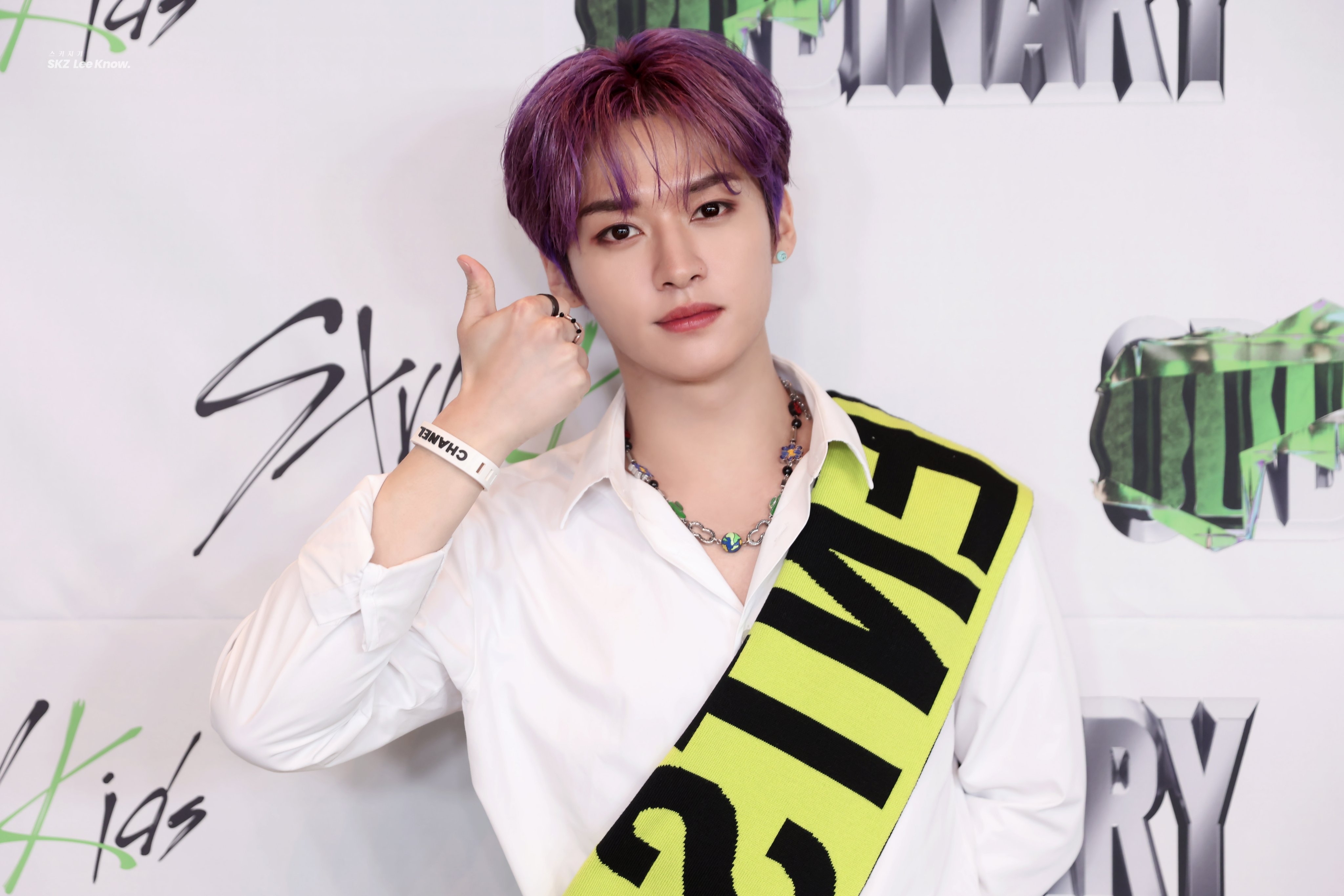 Минхо Stray Kids Maniac