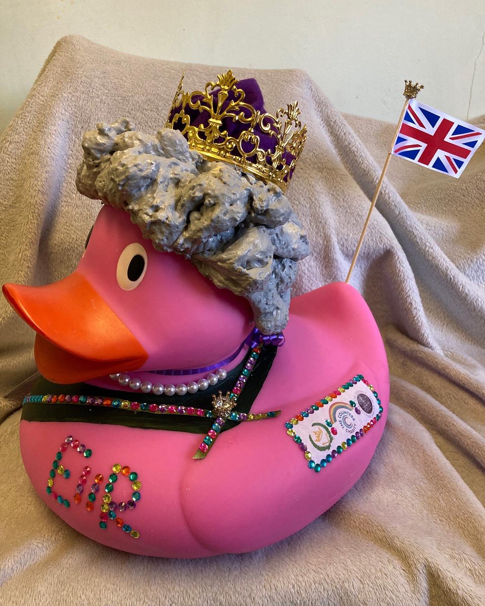 Please click on the link to vote for Highfield’s Queenie as the best dressed duck! <a href="/COCHfundraising/">The Countess Charity</a> facebook.com/COCHFundraisin…