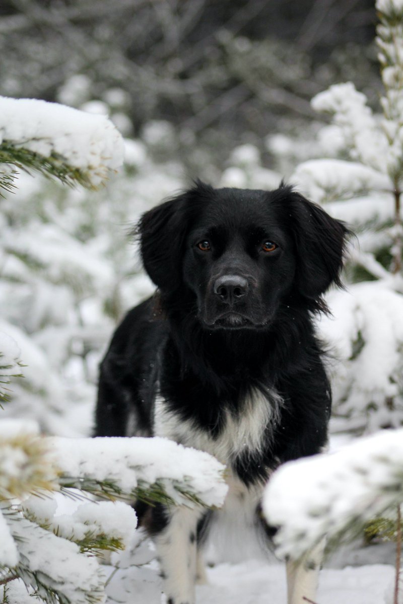 ๐
๐๐๐๐ ๐๐ฑ๐ฉ๐ฅ๐จ๐ซ๐๐ฌ tweet media