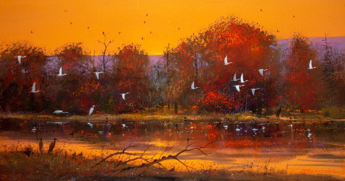 Tom Perkinson tweet media