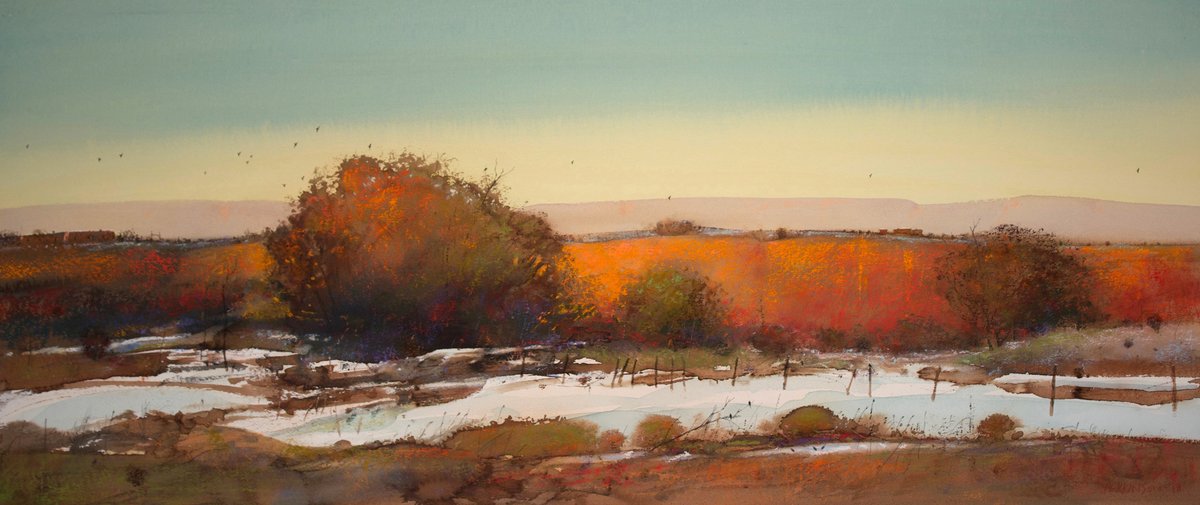 Tom Perkinson tweet media