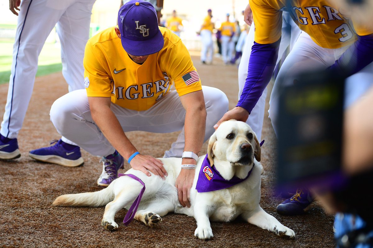 LSU Baseball tweet media