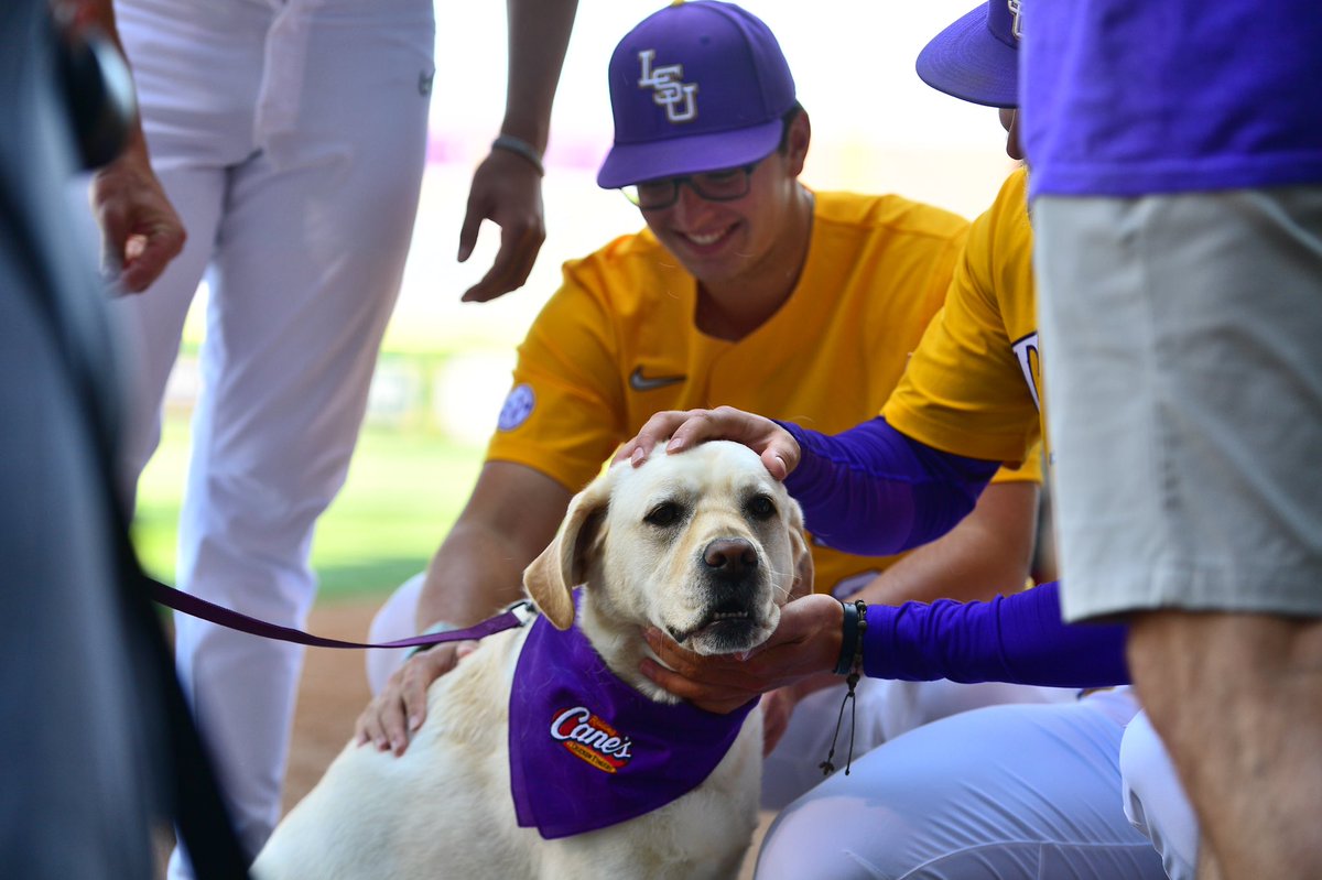 LSU Baseball tweet media