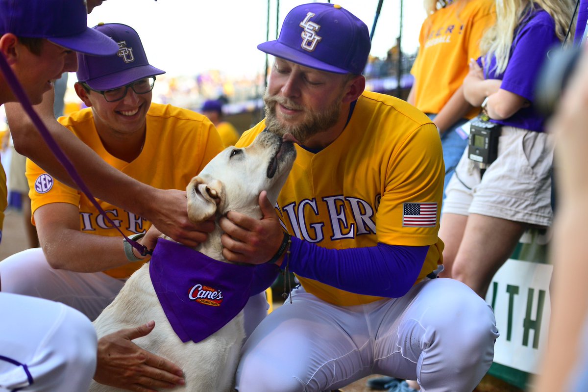 LSU Baseball tweet media