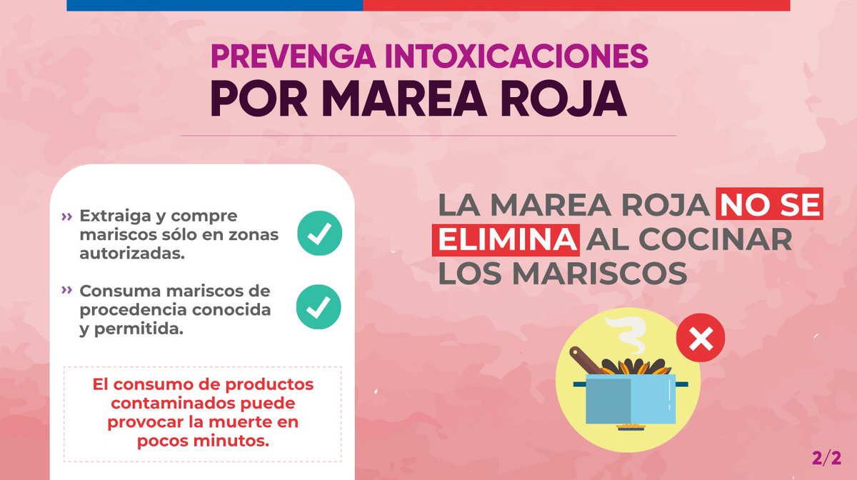 SeremiSalud_XI's tweet photo. Cuidémonos de la Marea Roja. Recuerda consumir o adquirir mariscos solo en el comercio establecido, solo así estarás cuidando tu salud y la de quienes te rodean. https://t.co/25mmUqtt3g